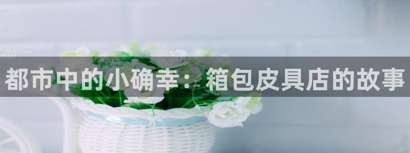 卧龙娱乐过山车