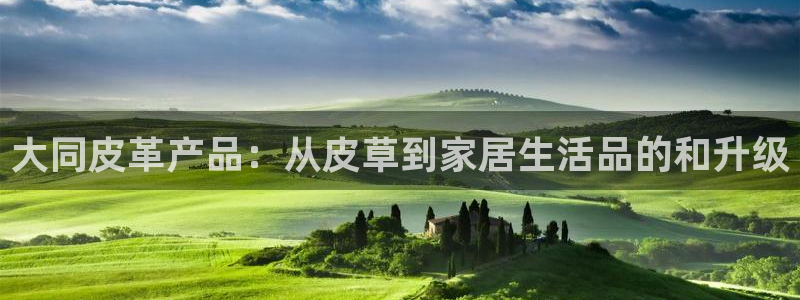 卧龙娱乐 找86555