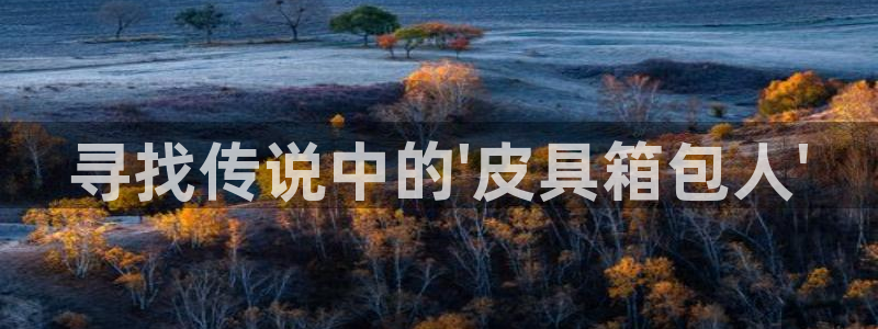 卧龙区娱乐