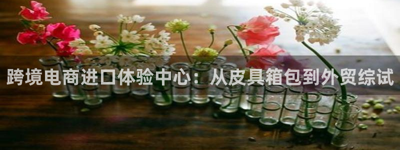 卧龙娱乐平台