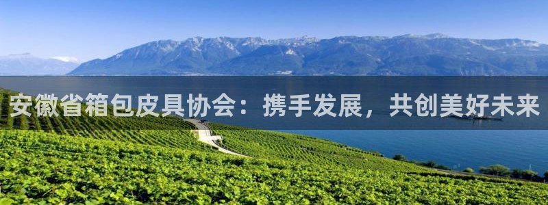 卧龙凤雏娱乐解说