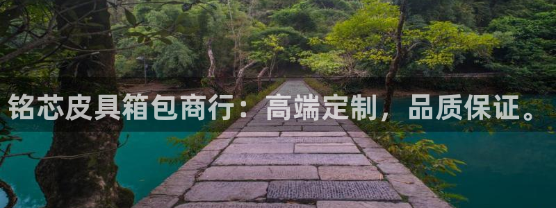 卧龙娱乐老板是谁呀视频