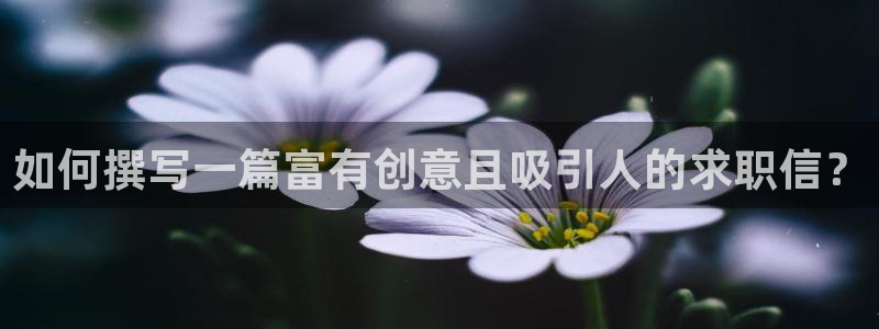 卧龙休闲娱乐热门推荐