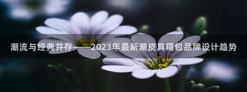 卧龙娱乐主管招聘
