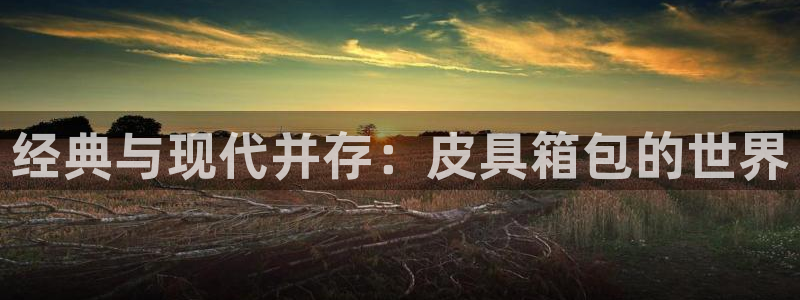 娱乐卧龙凤雏