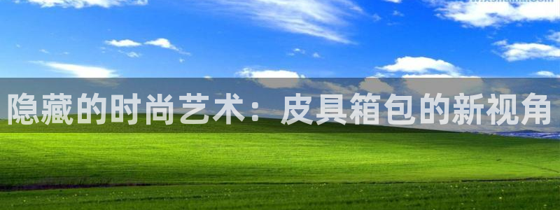 卧龙娱乐招商代理电话