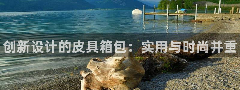 卧龙凤雏娱乐演员