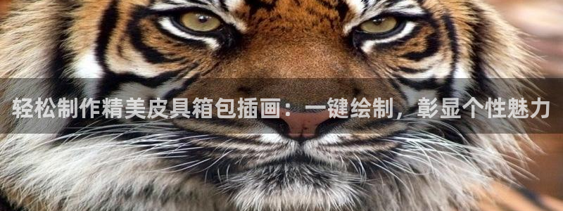 卧龙娱乐怎样注册账号
