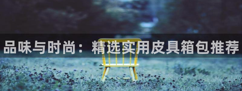 卧龙娱乐总代理是谁呀
