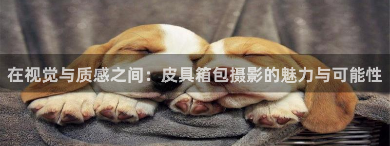 SKY娱乐卧龙招商60447
