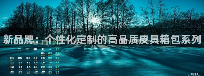 BA娱乐卧龙招商60447