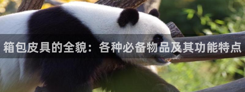 绥阳卧龙湖娱乐场地