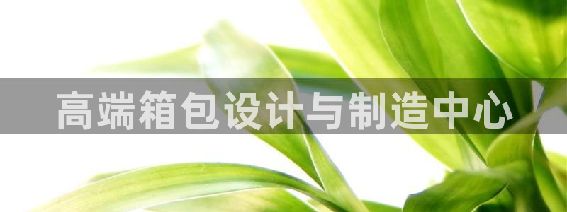 卧龙娱乐挂机软件下载