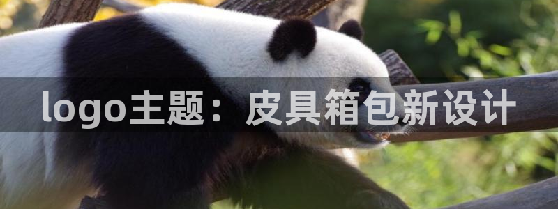 卧龙娱乐怎么不能注册